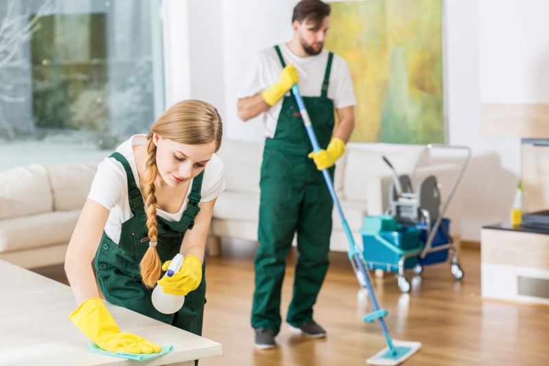 Expert Cleaning Staff